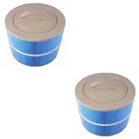 Villeroy & Boch 2 Stück Whirlpool Filter Kartuschenfilter Ersatzfilter Für Premium-, Comfort-, Sport X-line bis Bj 2016