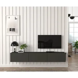 moebel17 Damla TV-Lowboard 180 x 29,5 x 29,5 cm Anthrazit/Holz