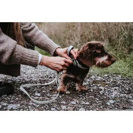 Hunter Führleine Convenience Reflect Glow