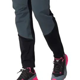 Dynafit Transalper Warm Hosen - Cinder - L