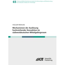 Mechanismen der Auslösung hochreichender Konvektion im südwestdeutschen Mittelgebirgsraum - Holger Matthias Mahlke  Kartoniert (TB)
