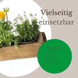 Novaliv Holzkiste Vintage 30 x 15 x 10 cm 10-tlg. Braun