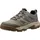 HELLY HANSEN Switchback Lo3 Ht Herren Fallen Rock 44