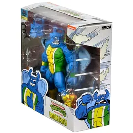 NECA Ninja Turtles Teenage Mutant Archie Comics Action Man Ray 18 cm große Actionfigur –