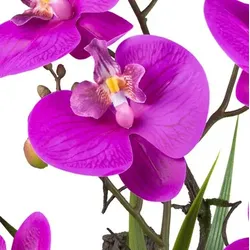 CREATIV green künstliche Pflanze Orchidee, 41 cm 2er Set