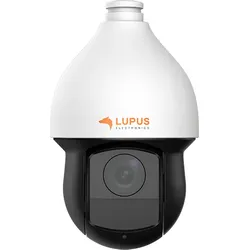 LUPUS - LE281
