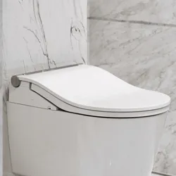 Toto Washlet RW Dusch-WC Sitz auto flush## TCF802C2G