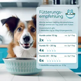 dr. sam Premium Immunsystem Pulver für Katzen 45 g