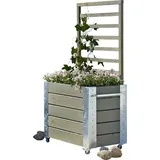 Plus Pflanzkasten Cubic 50 x 87 x 155 cm Graubraun