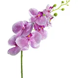 ROLLER Orchidee-Phalaenopsis - Kunstpflanze - lila-weiß