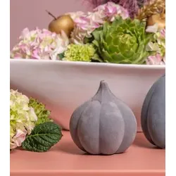 Kürbis Koba hoch grau 11,5cm