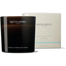 Molton Brown Coastal Cypress & Sea Fennel Duftkerze 600 g braun