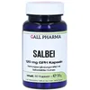 Salbei 120 mg GPH Kapseln