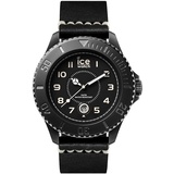 ICE-Watch Ice Heritage 001198