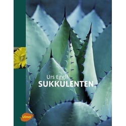 Sukkulenten