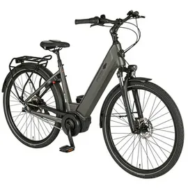 Prophete Geniesser 3.0 28 Zoll RH 48 cm Grau