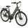 Prophete Geniesser 3.0 28 Zoll RH 48 cm Grau