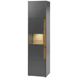 furn.design Aktenschrank grau matt und Wotan Eiche Vitrine für Homeoffice und Büro 50 x 200 cm Arbeitszimmer, Aktenschränke