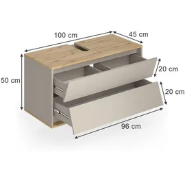 Vicco Waschbeckenunterschrank Edelin 2 Schubladen 100 x 50 x 45 cm Grau