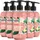 Sagrotan Hygieneseife Belebend und Floral 5 x 300 ml