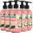 Sagrotan Hygieneseife Belebend und Floral 5 x 300 ml