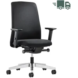 ABVERKAUF: Interstuhl Ergonomic Bürostuhl | Polsterrücken | Flextech