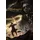 Mandragora: Whispers of the Witch Tree - Standard Edition (ESRB) (PS5)