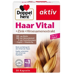 Doppelherz Haar Vital+zink+hirseextrakt Kapseln