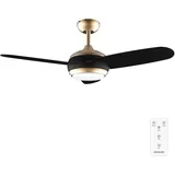 Cecotec EnergySilence Aero 4265 106,68 cm Deckenventilator Gold/Schwarz