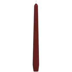 50x Spitzkerzen 245 mm 8 Stunden Brenndauer bordeaux