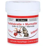 Dr. Sachers Teufelskralle+Murmeltier 2in1 intensiv