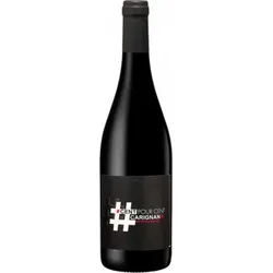 # Cent Pour Cent Carignan 2024  - No Added Sulphites  - Terres Plurielles