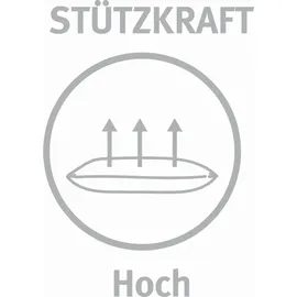 Paradies Malea Bio Kopfkissen 40 x 80 cm Weiß