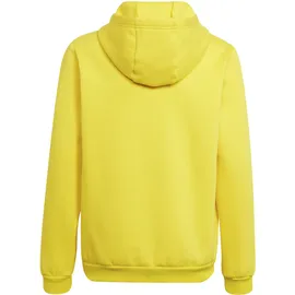 adidas Hoodie Mehrfarbig 176
