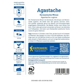 Kiepenkerl Saatgut Koreanische Minze für ca. 100 Pflanzen