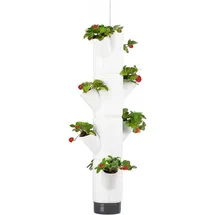 Gusta Garden Sissi Strawberry 27 x 27 x 77 cm Weiß