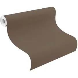 Rasch Textil Vliestapete Uni 10,05 m x 0,53 m 752663 Braun