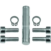 Riegler Schwenkgabelbefestigung, ISO 15552, ISO 21287, Ã ̃63