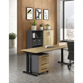 Germania Büromöbel-Set 3.0", Set 3, Schreibtisch, Schrank und Regal, eiche, / graphit