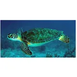 FANSU Strandtücher Microfaser Gross, Ozean Tier Drucken Strandtuch Mikrofaser Strandhandtuch Erwachsene & Kinder Sommer Badetuch für Reise Strand Schwimmen (Blaues Meerwasser,80x160cm)