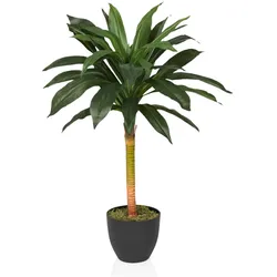 hjh OFFICE Kunstpflanze DRACAENA I Kunststoff