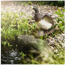 esotec Wasserspeier Ente Solar Komplettset