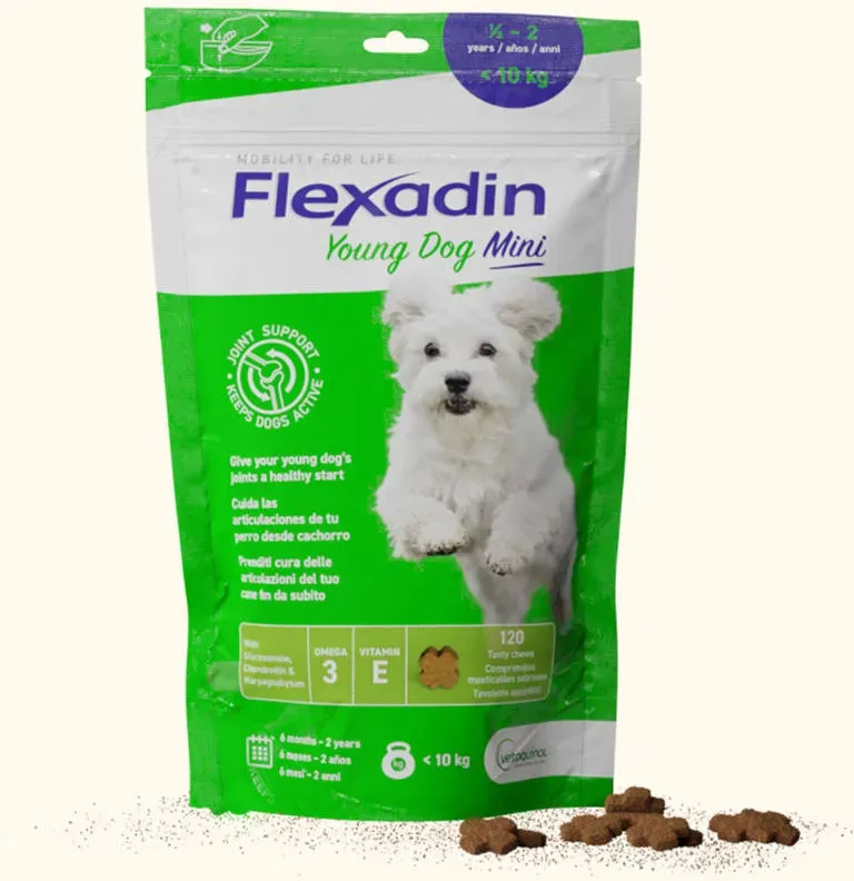 VETOQUINOL Flexadin Junger Hund Mini 60 Kapseln (Rabatt für Stammkunden 3%)