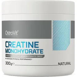 OstroVit Creatine Monohydrate (300g) Unflavoured One Size