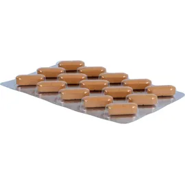 Alsitan Alsifemin Klima-Soja plus Calcium D3 Tabletten