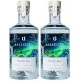 Bareksten | Nordlys Gin | The Spirit of The Northern Lights | Frisch & würzig | Kleinstchargen aus Norwegen | 41% vol. | 500ml (Packung mit 2)