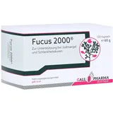 Fucus 2000 Kapseln