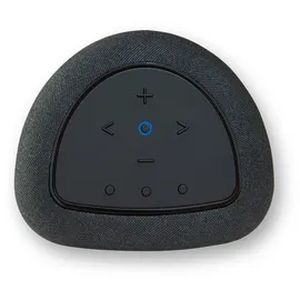 BLUESOUND Pulse Flex schwarz