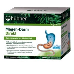 Hübner Magen-Darm Direkt Sticks (30St)