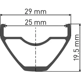DT Swiss Laufrad X1900 Spline 29" 25 mm